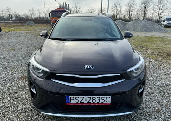 kia golczewo Kia Stonic cena 49900 przebieg: 99000, rok produkcji 2019 z Golczewo